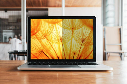 3M™ Bright Screen Privacy Filter for HP® EliteBook x360 1030 G2, 16:9, BPNHP001